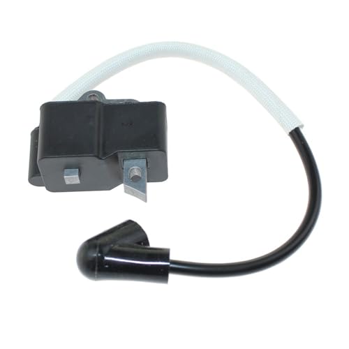 Module d'allumage pour entretenir le jardin avec les modèles 125E et 128CD
