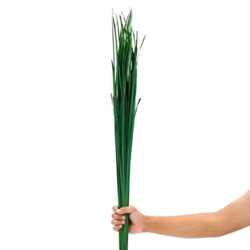 Leewadee Natural Grass Stems – Loose And Colored Decorative Branches For Vases, Carefully Dried Twigs For Home And Bar Decoration, 47 Inches, Green #TOP24