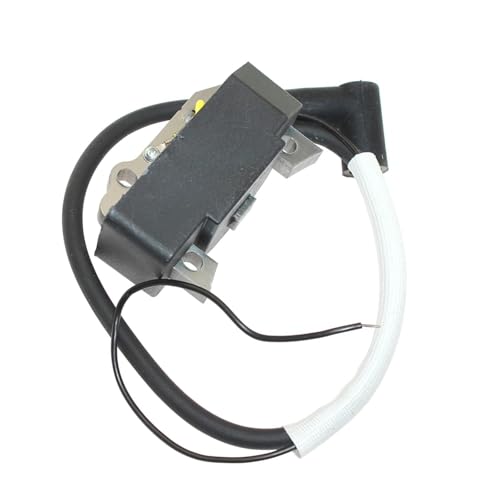 Bobine d'allumage BS60 BS70 BS600 pour résoudre les ratés