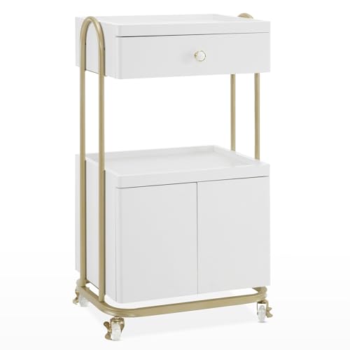 BarberPub Salon Trolley with Universal Wheels Storage Rolling Cart with Drawer Barber Shop Tool Organizer for Hair Stylist SPA Metal Trolley for Storing Skin Cosmetics 2074 (White)