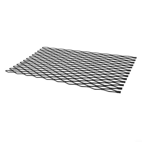 Eawfgtuw Pour grille de cheminée pour intérieur et extérieur, grille de feu en acier avec résistance à la chaleur, 30 x 19 cm et options de 40,6 x 24,9 cm (24,9 x 40,9 cm)