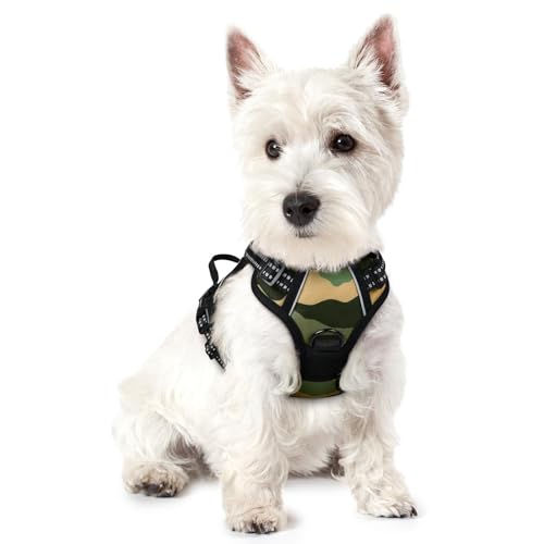 Image of rabbitgoo Dog Harness No Pull with 2 Leash Clips, Adjustable Soft Padded, Reflective Oxford No Choke Pet Vest with Easy Control Handle for Large Dogs, Green Mountain,XS