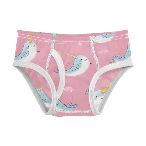 Wusikd Cute Narwhals Boys' Underwear Cotton Rainbow Horn Boys Briefs Soft Toddler Underwear 2T