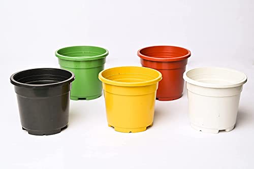 Pot’s & Plant’s Plastic Grower Pot Multicolor, 6 inch, Combo of 10 Colourful Grower Pot (Normal Nursery Pots) Pot’s & Plant’s Plastic Grower Pot Multicolor, 6 inch, Combo of 10 Colourful Grower Pot (Normal Nursery Pots)