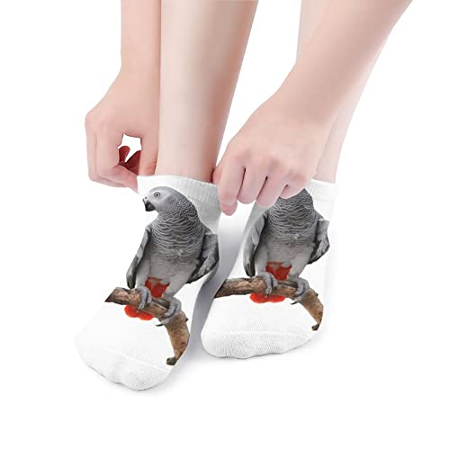 Frican Parrot Bird Psittacus Erithacus Standing on A Branch Tropical Nature Womens Ankle Socks Cycling Athletic Running Socks for Women Cushioned