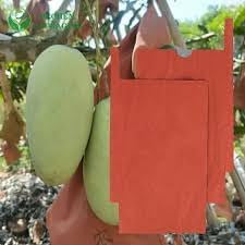 Fruit Guard's Mango Protection Growth Paper Covers and Bags (Pack of 50)