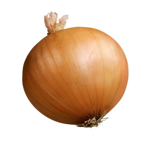 ɏnʔK WHY FmȂ{̐H Yn V[bgIjI (5kg)