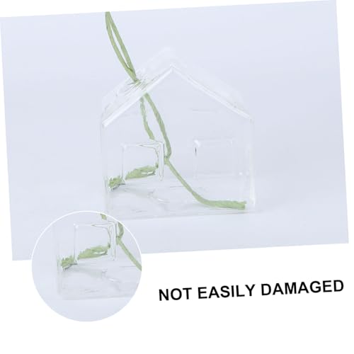 Florero hidropónico transparente de cristal para raíces y esquejes 7