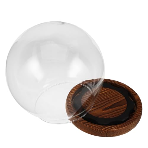 BESPORTBLE Vitrina de Vidrio con Base Antideslizante Cúpula Transparente para Flores Caja Protectora con Cierre Seguro para Decoración de Hogar y Eventos
