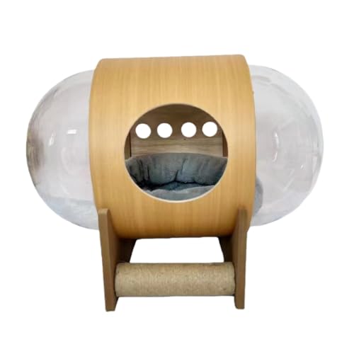 YNYNFD LnEX ybgpxbh h[^ybgxbh u^ ybgxbh RpNgƋ 芴 Vv (fAAJEg)