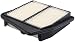FRAM CA10802 Extra Guard Panel Air Filter