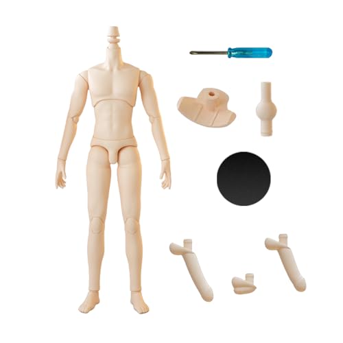 YMY23 25 Male Doll Body Compatible with Ob22 OB24 GSC BJD Doll Head DIY Drawing Mannequin Action Figure Models(Normal white-22cm)