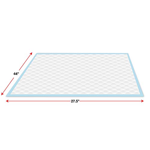 Four Paws Wee-Wee Pee Pads For Dogs And Puppies Training L Gigantic, Xl, Standard & Little L Absorbent Pee Pads For Training Puppies, Leak-Proof 6-Layer Technology, 24 Hour Protection Guaranteed #TOP2