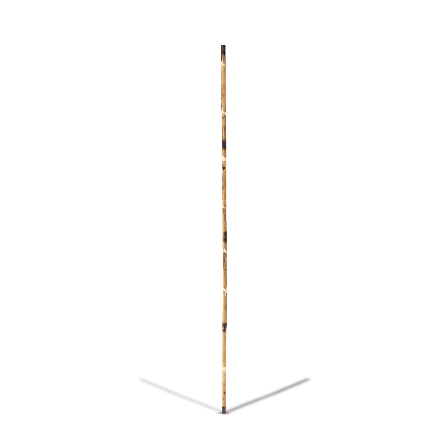 ASA Silambam Stick – Traditional Silambam Stick Cane, Unbreakable Stick, Long Stick, Walking Stick, Yoga Stick, Wooden Stick for Walking, Multipurpose Stick - Multicolour (5.5 feet) (B0D9P4ZM7N) Amazon Price History, Amazon Price Tracker