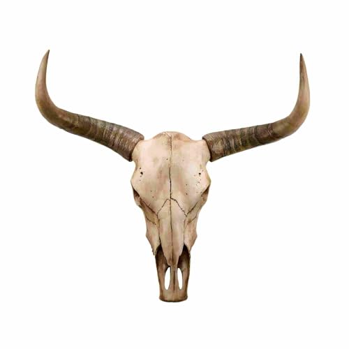 rzoizwko Cow Skull Wall Decor, Faux Longhorn Skull Wall Hanging,
