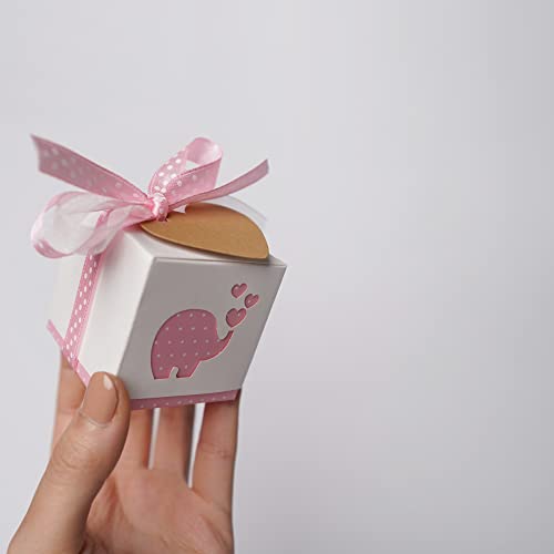 Stella Design Bomboniere Battesimo/Nascita, 48