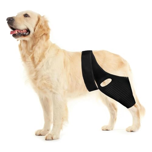 Dog Rear Leg Braces, For Support With Cruciate Ligament Torn Injury Joint Hip And Muscle Sore Dog Leg Braces for Back Leg Dog ACL Brace Knee Brace for Dog ACL Brace Hind Leg (M)