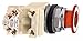 SCHNEIDER ELECTRIC 9001KR9P1RH2 Push Button 600-Vac 10-Amp 30Mm T-K Electrical Box