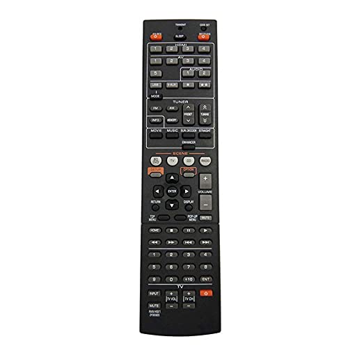 Mando a distancia con botones de navegación rápida para receptor RAV494 2