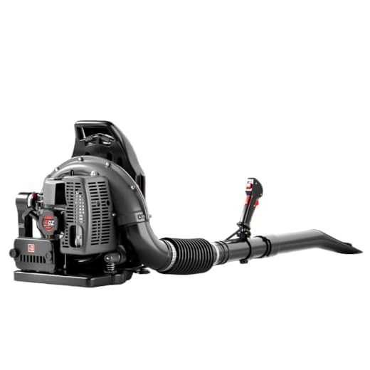TDH 63CC Gas Backpack Leaf Blower