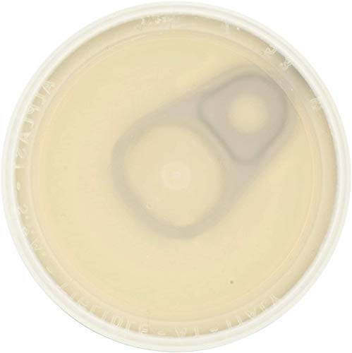 Dry Yeast 100% Italian - Mulino Caputo