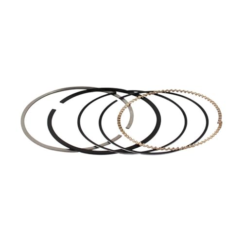 Kit de segments de piston 67mm STD pour moto CBR600 F5 2003-2006