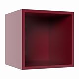 Design élégant : Ensemble de deux étagères murales cubiques au style épuré et moderne, parfaites pour décorer votre intérieur avec goût.