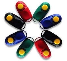 PSK PET MART Training Clicker with Wrist Strap for Bird/Parrots/Cockatiel/Budgies/African Grey/Cockatoo (1 pcs) (Color May Very)