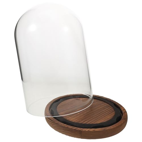 Cloche de présentation en verre avec socle en bois dôme anti-poussière