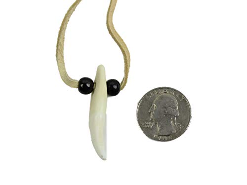 Generic Real Coyote Tooth Necklace: 1-tooth, natural4