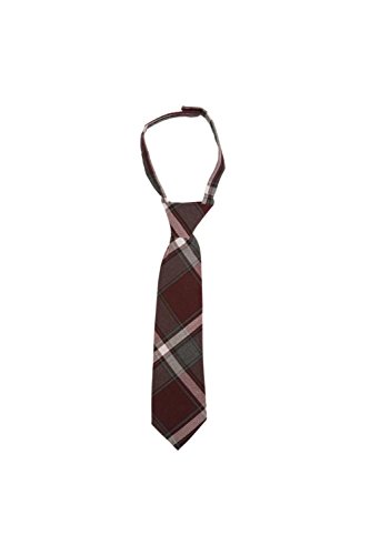French Toast Boys' Adjustable Tie-4-7, Burgundy Plaid, 4-7