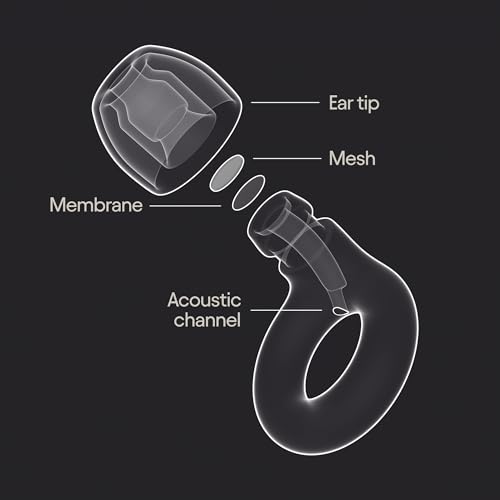 Image of Loop Experience 2 Ear Plugs - Stylish Certified Hearing Protection for Concerts & Festivals, Live Events, Musicians, Sports, DJs and Nightlife - 17dB Noise Reduction Earplugs (High-Fidelity)