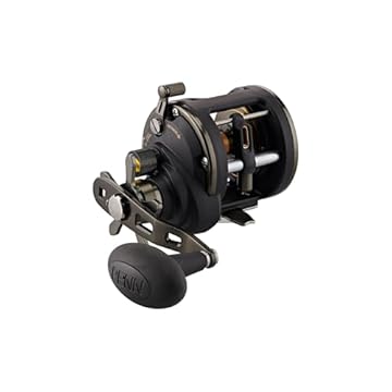best conventional fishing reels for saltwater