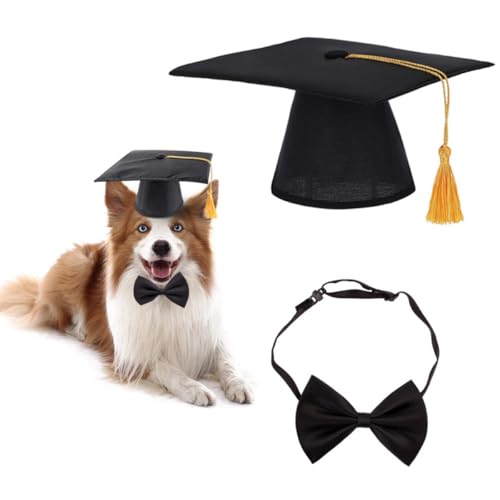 Disfraz gorro y pajarita para perro en negro miniatura 7