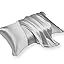 Silver Grey