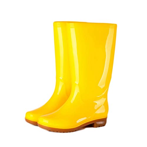 [QIAGE] Cu[c C ƌC CV[Y fB[X  CG[ O Cu[c JC wl  K[fjOCV[Y 24.0cm n Xb| 킢 Ou[c r h h h  J ~J΍