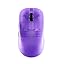 Frosted Purple
