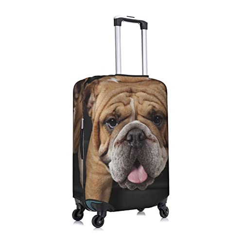 English Bulldog sitting in a Chair Travel Luggage Cover Fits 18-32 Inch Luggage, Stretch Suitcase Cover Protector with Concealed Zipper for Wheeled Suitcase Travel Accessories3