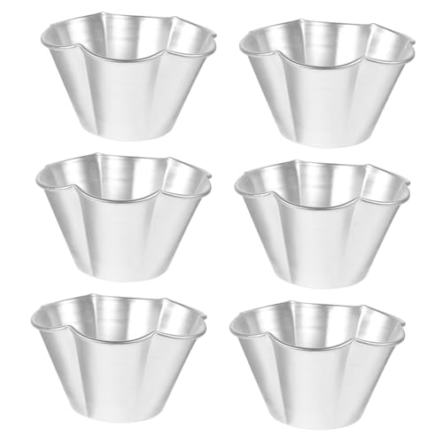 NOLITOY 6 piezas Molde para Tartas Mini de Aluminio de Antiadherente Duradero y Fácil de Desmoldar para Pudines y Pasteles Pequeños Reuniones Familiares
