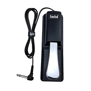 Imelod Sustain Pedal Universal for Yamaha Casio Roland Korg Behringer Moog Piano Midi Electronic keyboards – – Universal…