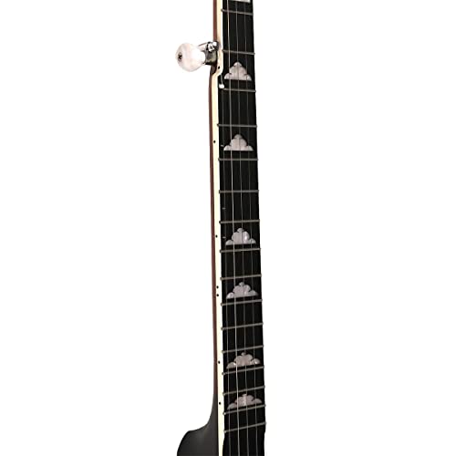 Gold Tone Wl-250 White Ladye Openback Banjo (Five String, Vintage Brown) #TOP3