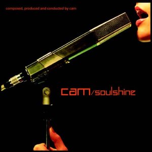Amazon.com: Soulshine [12 inch Analog]: CDs & Vinyl