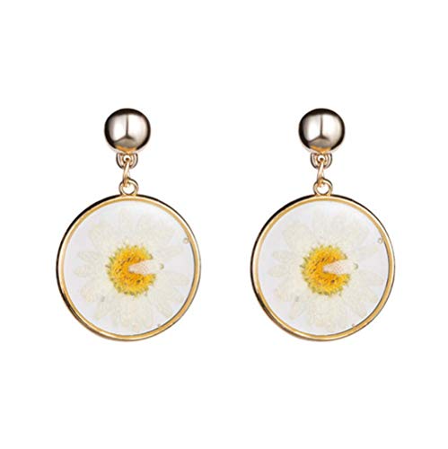 Boucles d'oreilles à fleurs pour femmes, bijoux ronds exagérés en plastique de fête