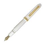 Platinum Fountain Pen #3776 Century Soft Fine Point Chenonceaux White PNB-15000-2-SF With Kanji LOVE Sticker, 5.49x6.06x0.6 in