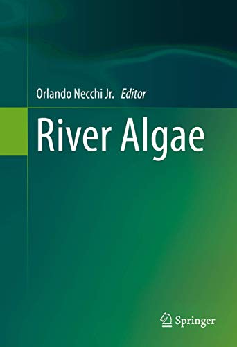 River Algae view 2