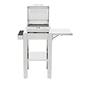 Kenyon G2 Electric Grill with Stand, Stainless Steel, Rust Proof, Single Burner, Freestanding Grill, UL Approved for Indoor and Outdoor Use, 120V