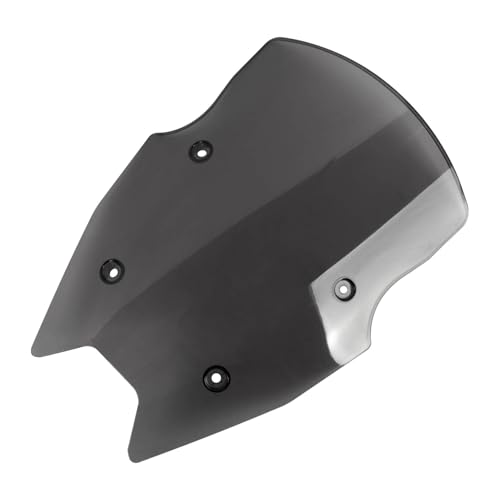 Pare-brise de moto R1250RS en verre acrylique premium finition gris foncé haut de gamme