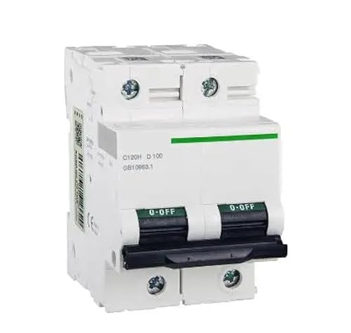 Disjoncteur miniature haut de gamme C120H 2P 100A D 10KA A9N19821 protection renforcée