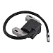 Panari 591459 Ignition Coil Magneto Armature for Briggs and Stratton 492341 490586 491312 495859 690248 715231 Engine Lawm Mower