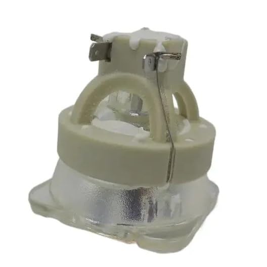Ampoule BL-FU310A de haute précision pour projecteur Optoma HD36